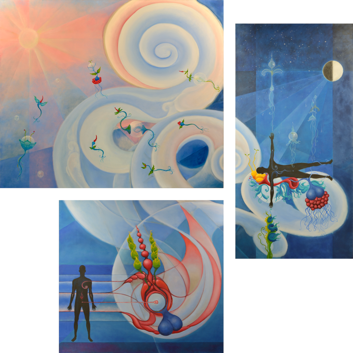 The desire of the sequenc of day and night